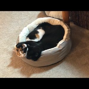 Meet your Posher, Jenny